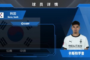 韩国归化卡斯特罗普集锦：可带刀！覆盖范围极大的全能B2B中场