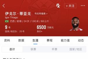 蜂王世界杯初亮相!伊戈尔·蒂亚戈英超38场入球22,巴西首秀在3月