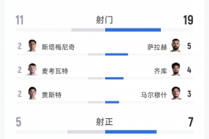 埃及对阵新西兰比赛全场数据:射门比19-12,射正比7-5,得分机会比5-3