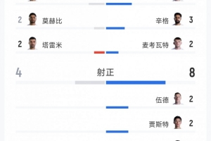 伊朗2-2新西兰全场数据:射门17次对14次,射正4次对8次,得分机会3次对2次
