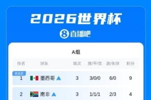 世界杯小组赛积分榜出炉：巴德荷比西法阿英小组头名晋级